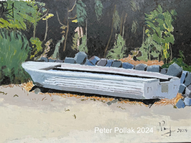 Bote en playa Caburgua