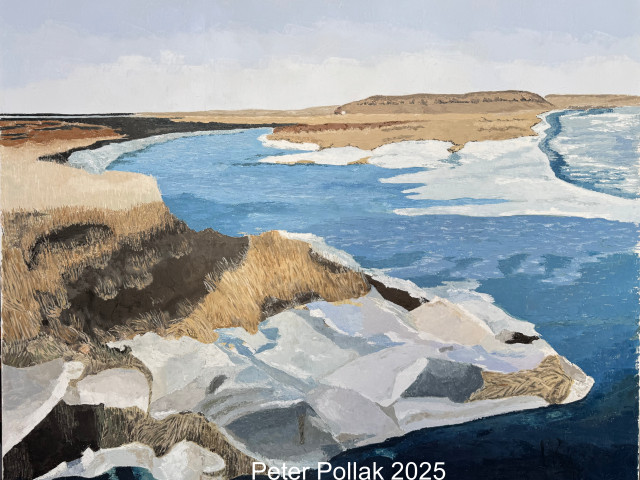 Patagonia virgen 2025 WM