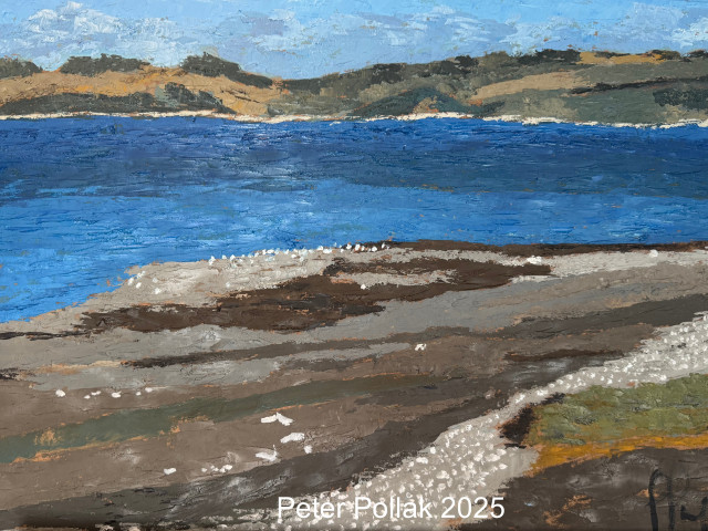 Playa al sur de Pto. Montt 2 2025 WM