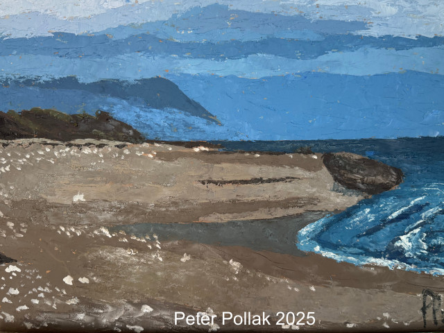 Playa al sur de Pto. Montt 2025 WM